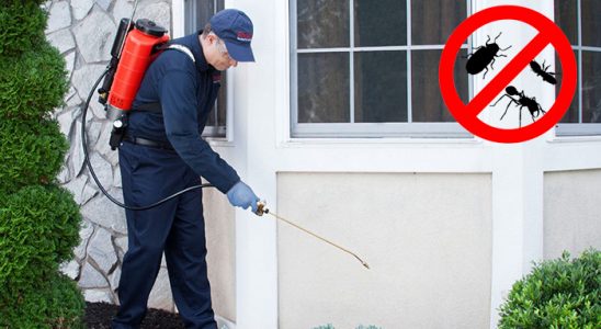 Bolvadin Karınca İlaçlama böcek ilaçlama ve haşere kontrolü — ilaclama-tr.com
